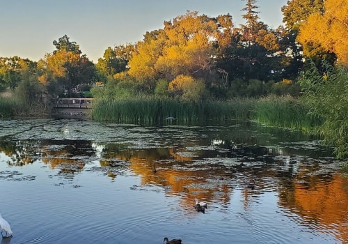The Ultimate Guide to Photography Studios in Contra Costa County, California